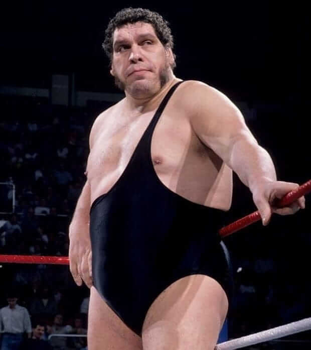 giant wrestler
